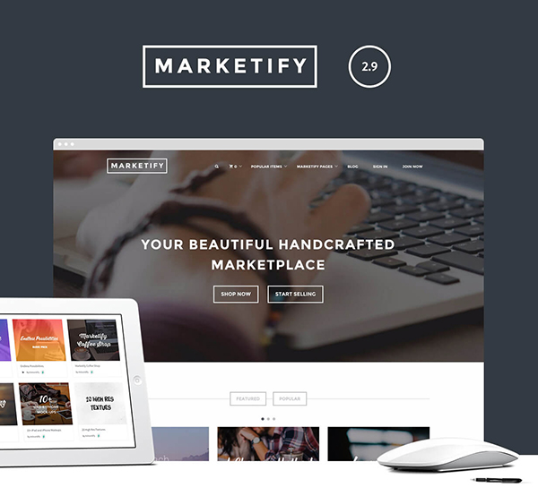 best wordpress theme