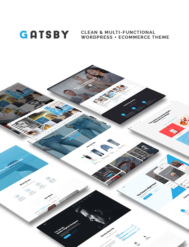 Gatsby - WordPress + eCommerce Theme - 1