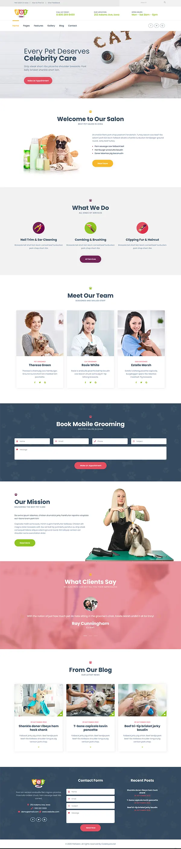 Pet Salon joomla template