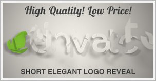 Short Elegant Logo Reveal