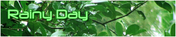 Rainy Day