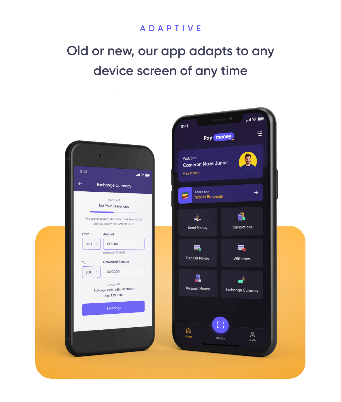 WalletPay - PayMoney Multi Wallet Mobile App - 9