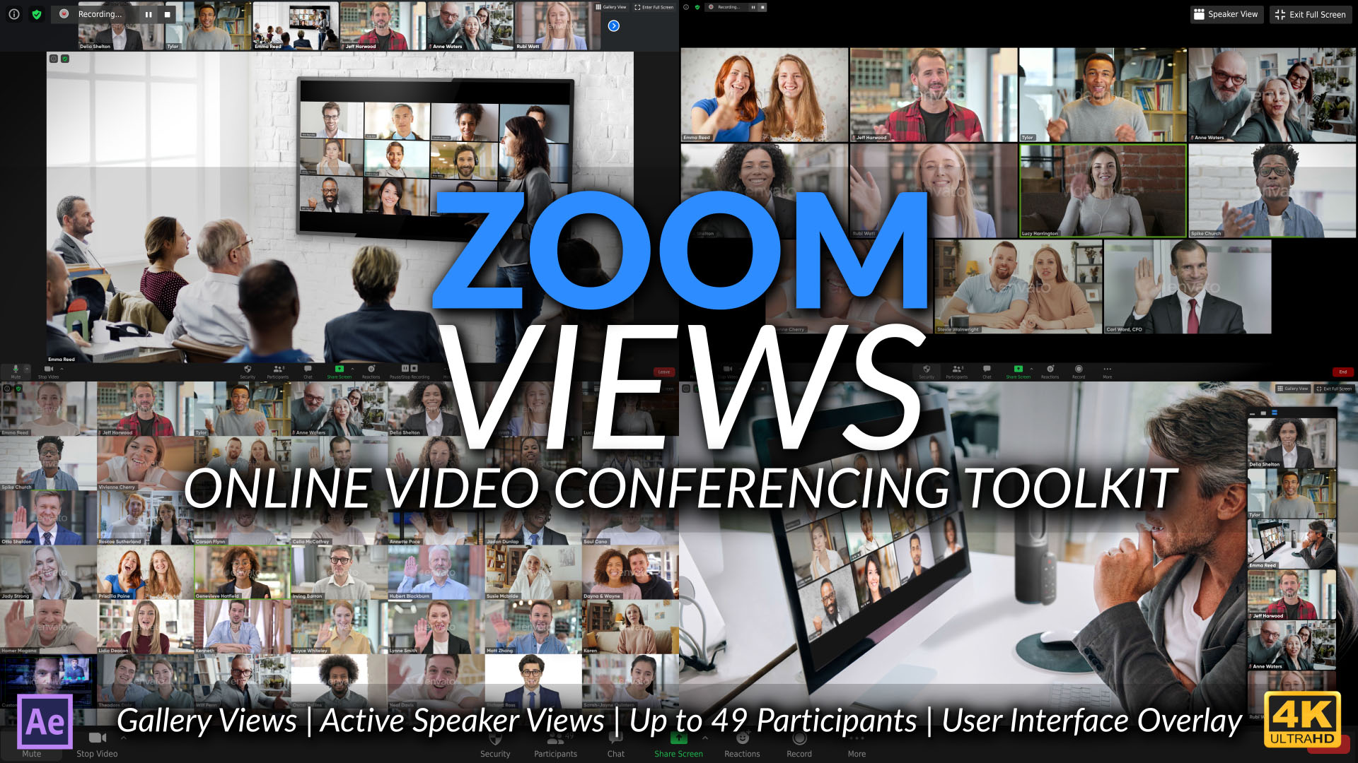 Zoom Views: Online Video Conferencing Toolkit - 2