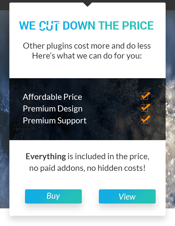 Woocommerce Themes