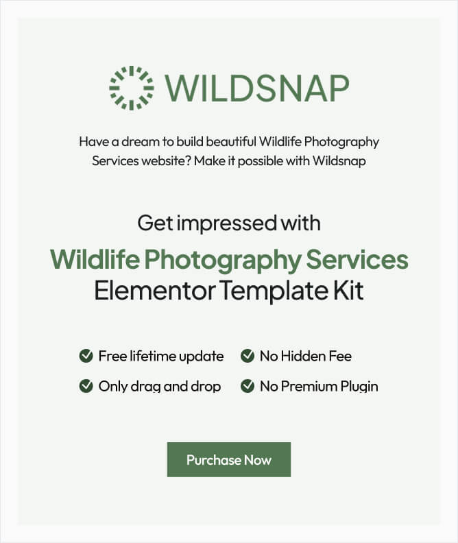Wildsnap - Wildlife Photography Services Elementor Template Kit - 1