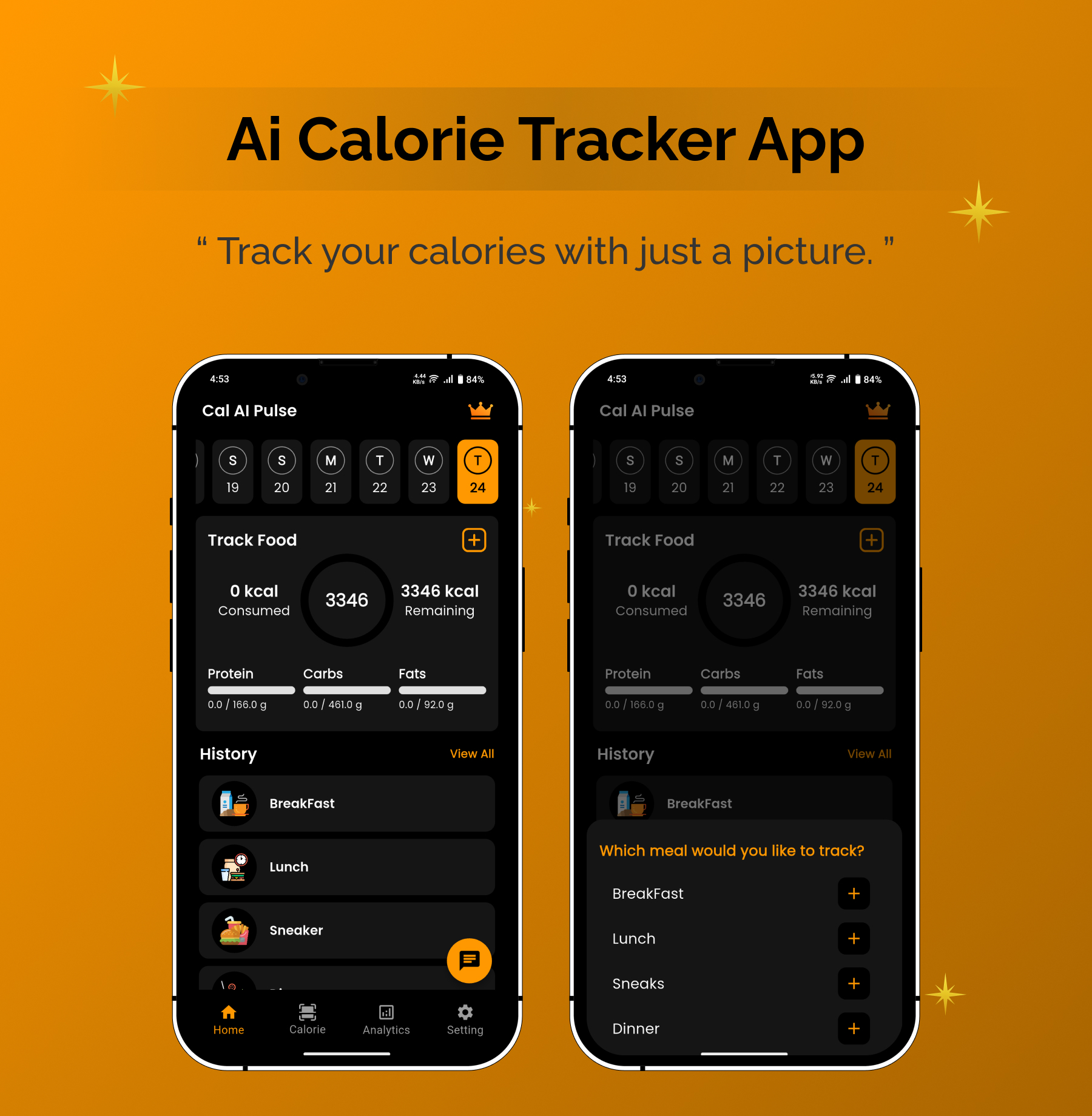 Cal  AI  Pulse | Calorie & Food Tracker | Flutter Android/iOS Full Application | Premium Plans - 5