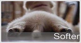 Softer photo SofterSm_zpsd75e2948.jpg