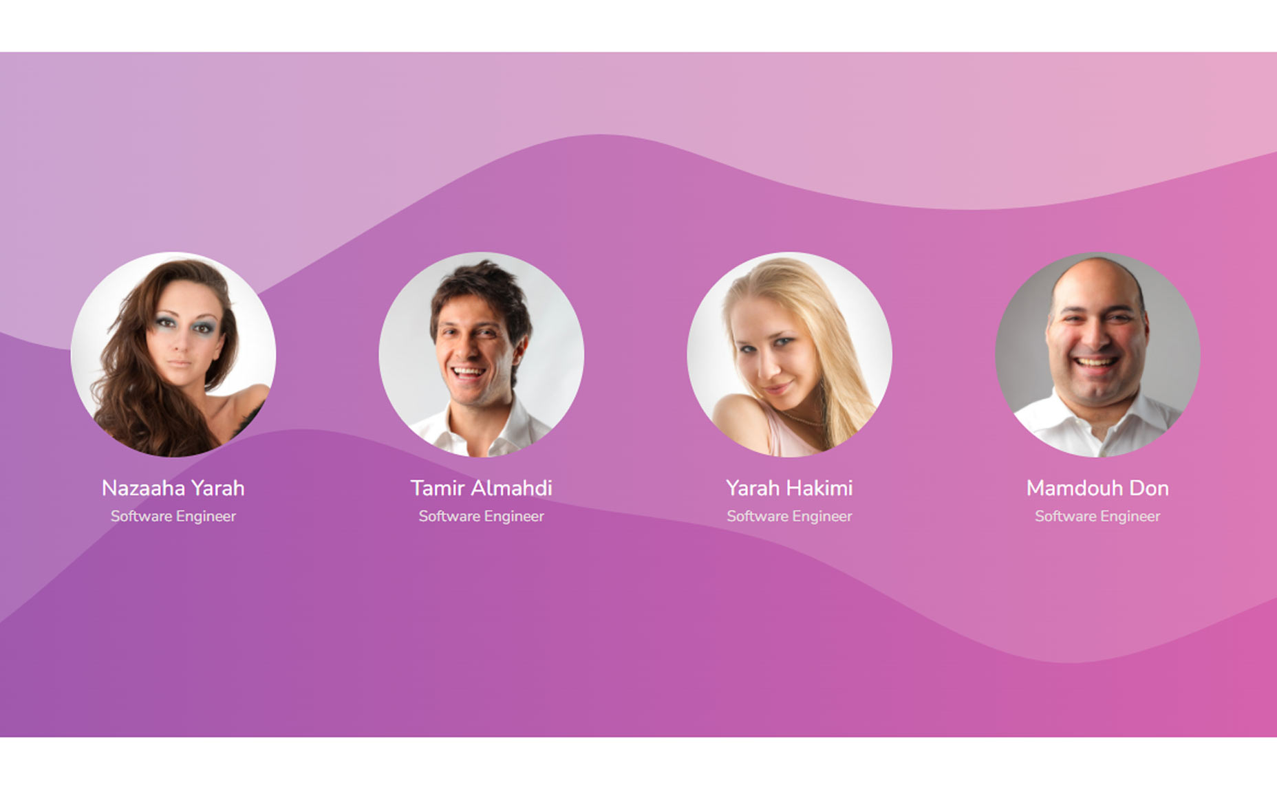 Sky Addons Team Member Widget Screenshots-5