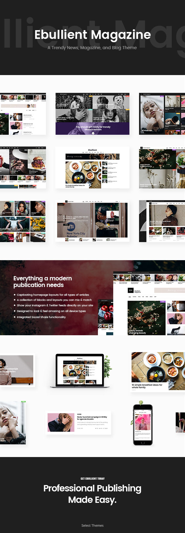 Ebullient - A Modern News and Magazine Theme