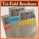 SiB - Trifold Brochure
