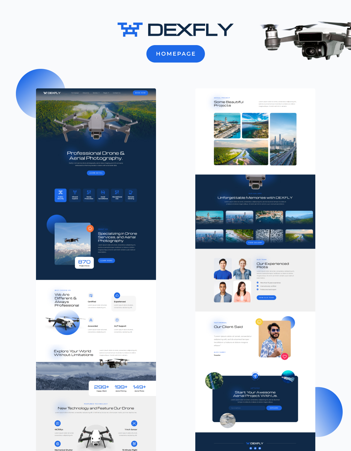 Dexfly | Drone & Aerial Photography Elementor Template Kit - 1