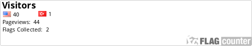 Flag Counter