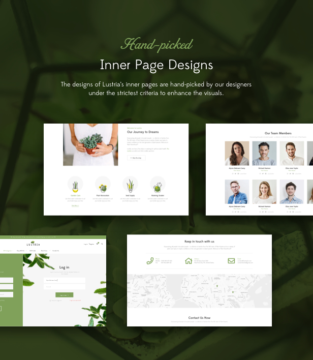 Lustria - MultiPurpose Plant Store WordPress Theme - 16