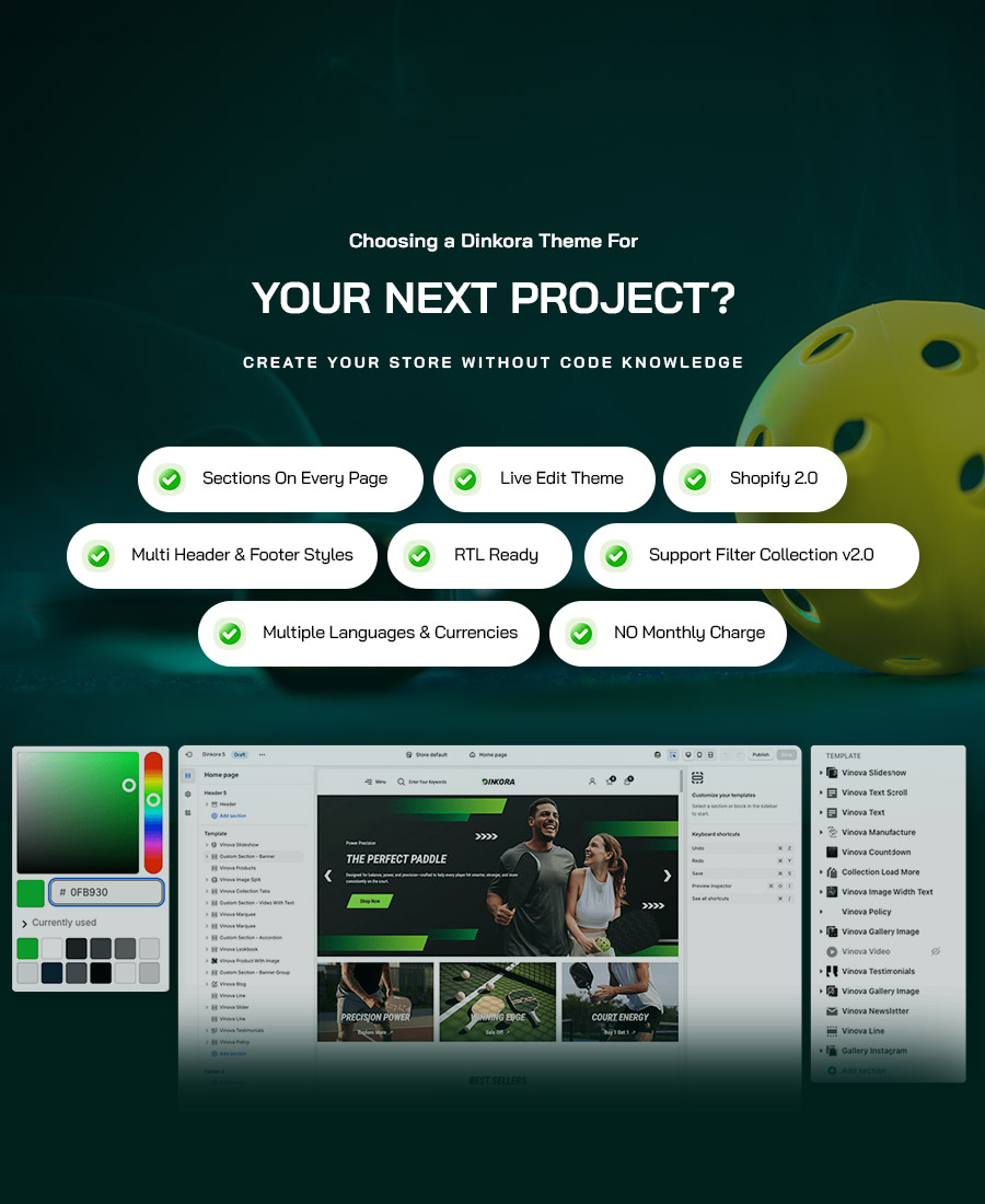 Dinkora - Pickleball & Sport Gear Shopify Theme - 1