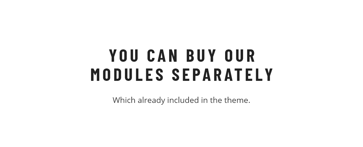 Alysum - Premium Prestashop 9 AMP Theme - 2
