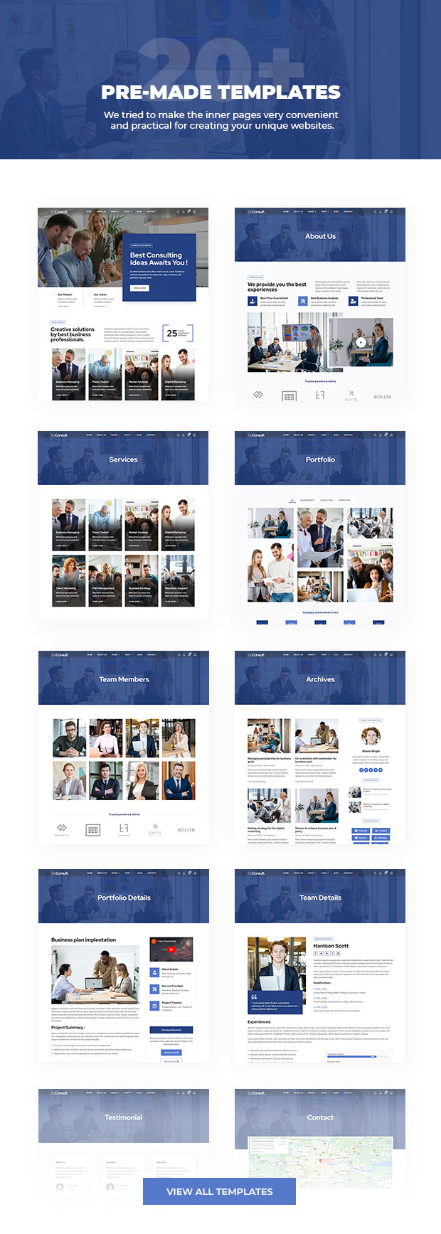 bizconsult inner pages