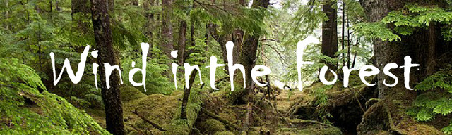 Windy-Forest-Royalty-Free-Sound-Effect-02-01
