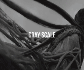 Napoli - Modern Photography  Responsive HTML Template - 8