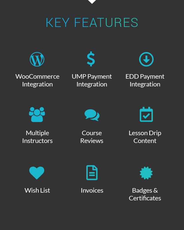 Woocommerce Themes