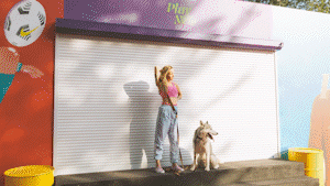 Paper Transitions | Big Pack - 39