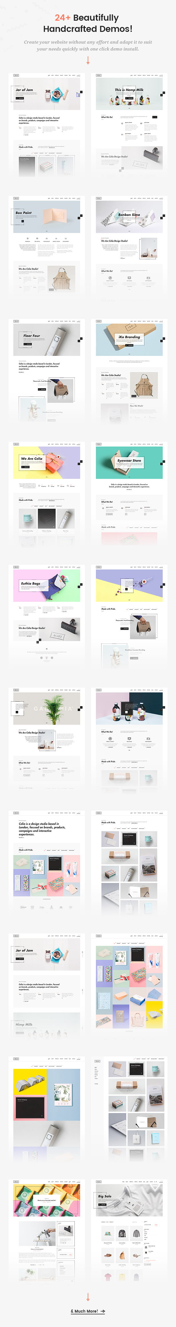 https://themeforest.net/item/celia-innovative-and-inspiring-portfolio-wordpress-theme/23078111?ref=dexignzone