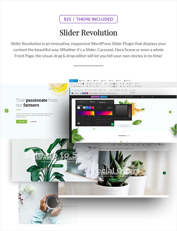 GreenMart – Organic & Food WooCommerce WordPress Theme - 15