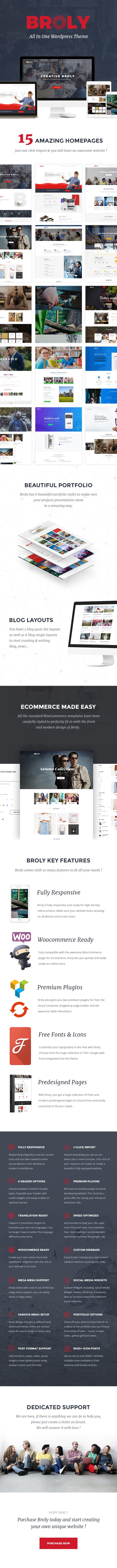 Broly - Creative Multi-Concept WordPress Theme - 2