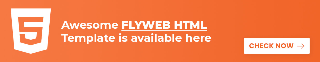 Woocommerce Themes
