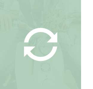 Wedding - WordPress Theme - 13