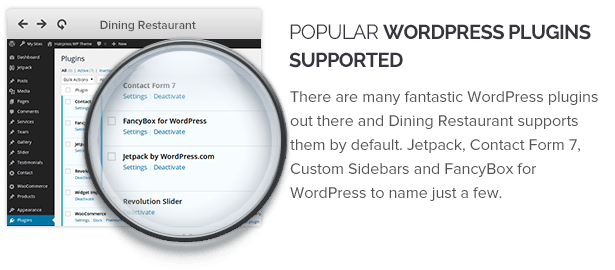 Popular Wordpress Plugins Supported