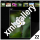 ADVANCED XML IMAGE GALLERY_v22