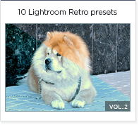 10 lightroom presets vol 2