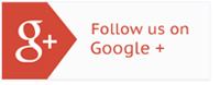 Google Follow