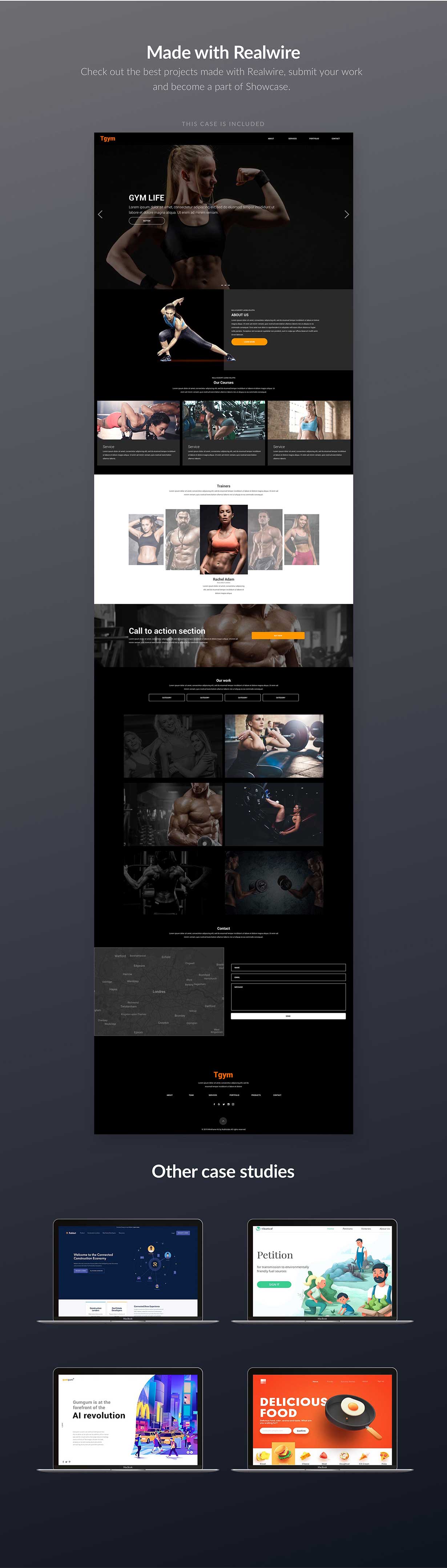 Realwire - Ultimate Wireframe Library Collection - 8