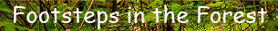 Footeps-Forest-Royalty-Free-Sound-Effect-01