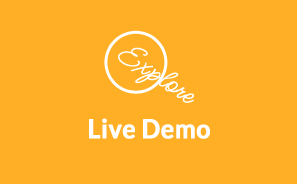 RISE CRM live demo bottom link
