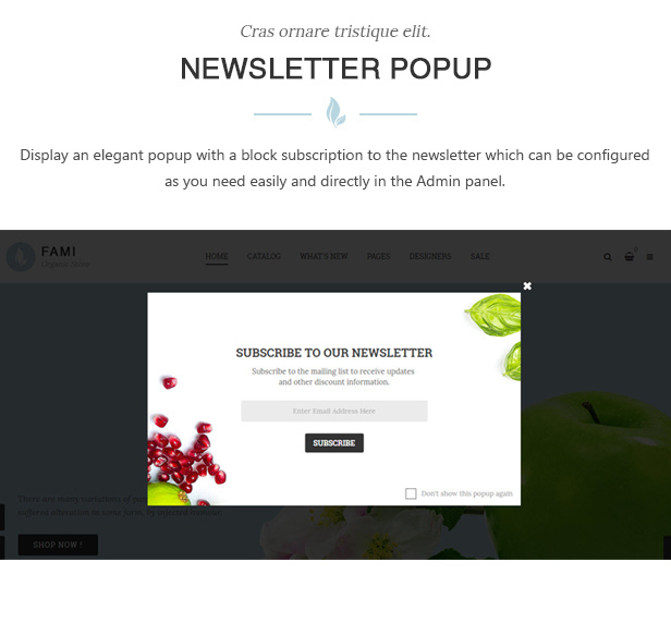 des_08_newsletter_popup