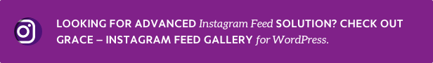 Grace Instagram Feed Gallery for WordPress info Grace Instagram Feed Gallery for WordPress info