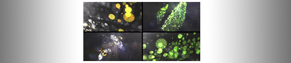 Particles Clock Logo Reveal - preview - banner