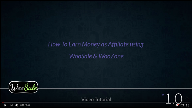 WooCommerce Amazon Affiliates - WordPress Plugin - 32