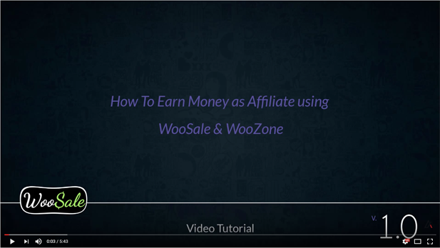 WooCommerce Amazon Affiliates - Wordpress Plugin - 31