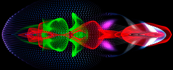 organic01 - 1024x576px