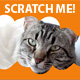 Scratch Me!