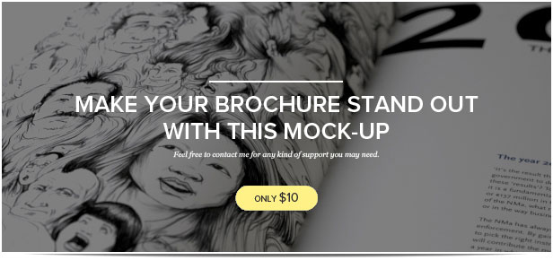 24 Page Annual Report Brochure - 1