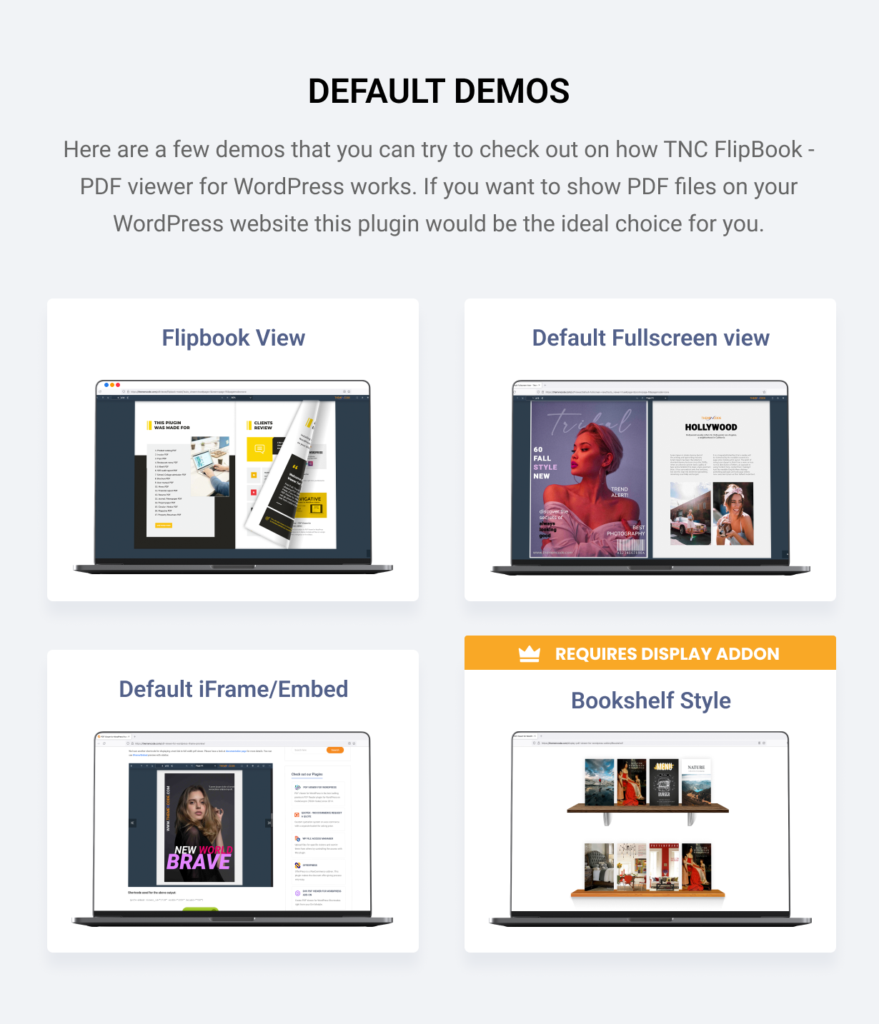 TNC PDF FlipBook viewer Default Demo Styles