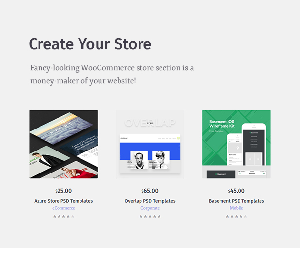 Woocommerce Themes