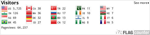 Flag Counter