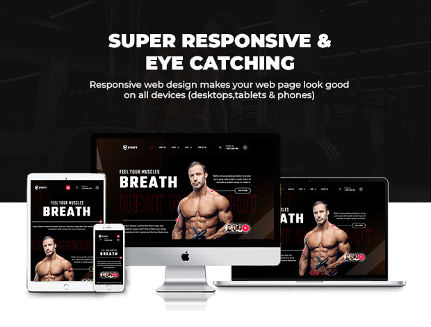 gymify responsive