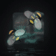 34aaad503271daaac3.gif
