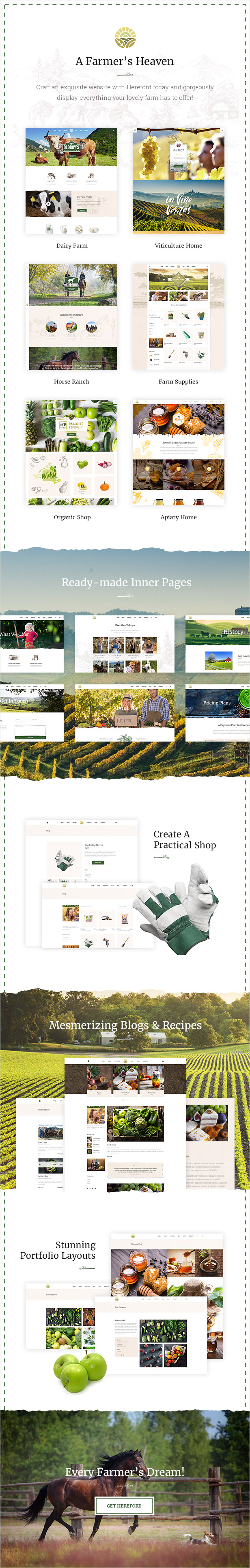 Hereford - Agriculture and Organic Food Theme - 1